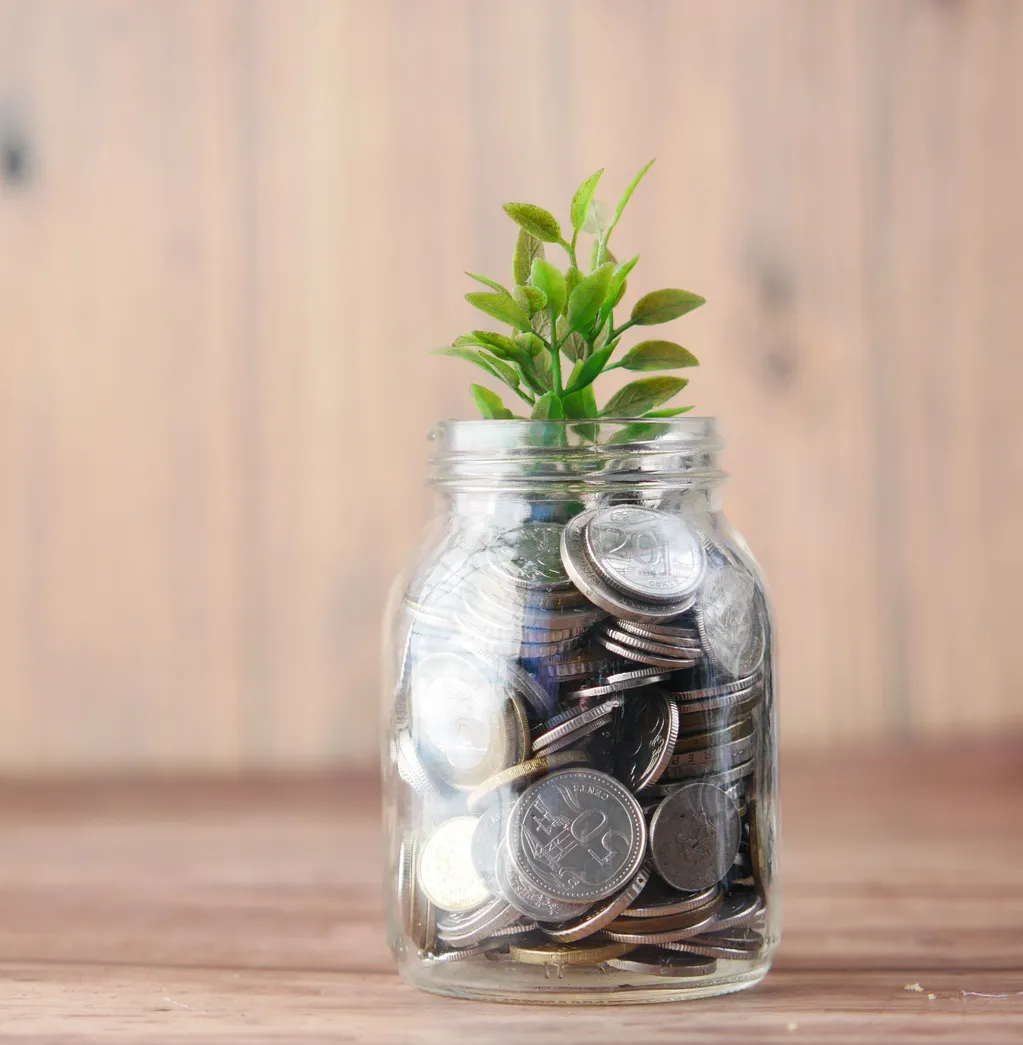 Garrafa de vidro cheia de moedas com uma planta crescendo de dentro dela